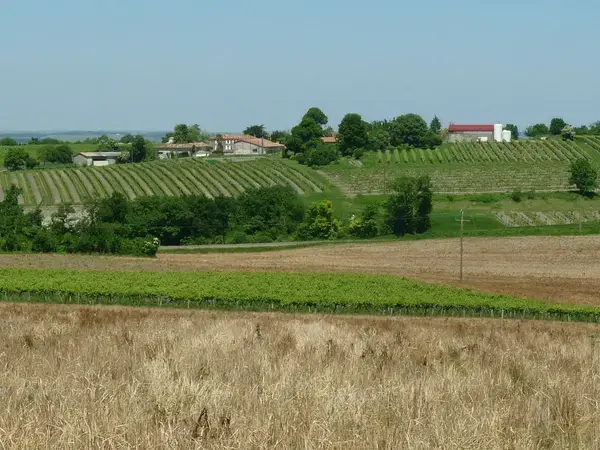 Borne de Recharge 33 Installateur borne de recharge Birac